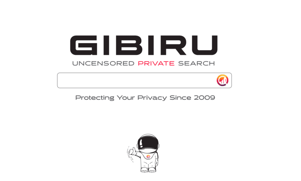 15 Privacy-Focused Search Engines Alternative to Google to use in 2023 34