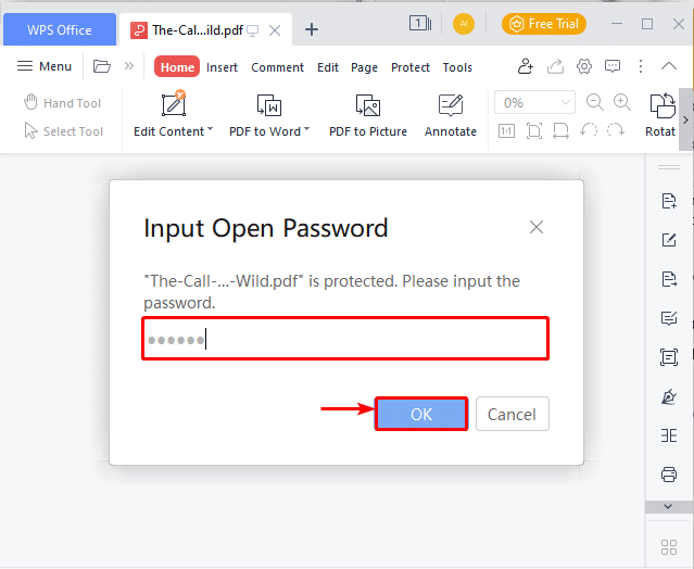 pdf password