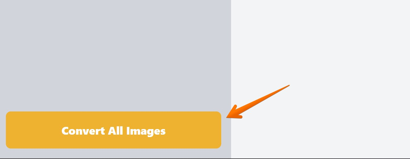 How to Serve Images in Next-Gen Formats (4 Fixes) 17