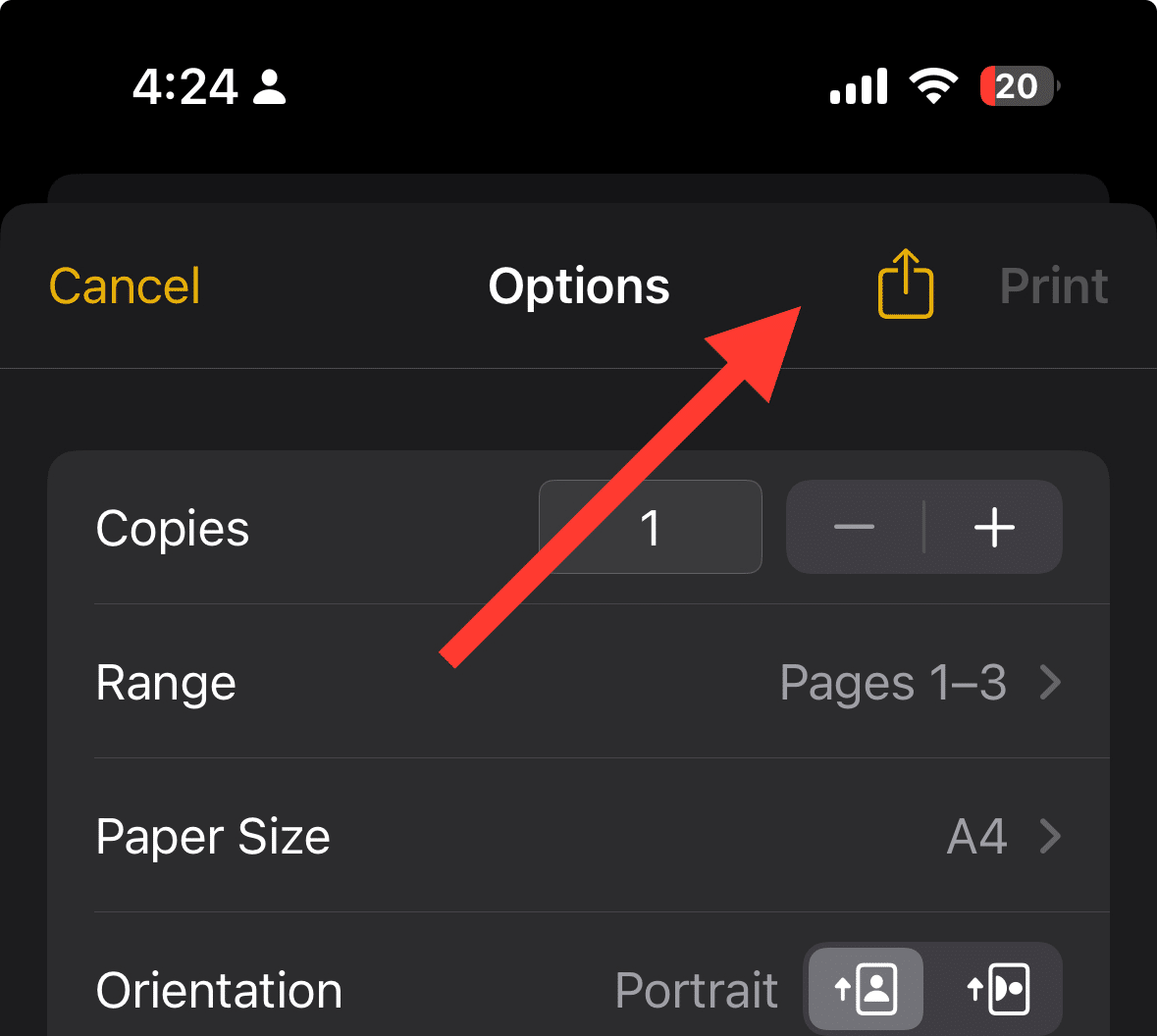 How to Make a PDF on iPhone (2 Easy Methods) 7