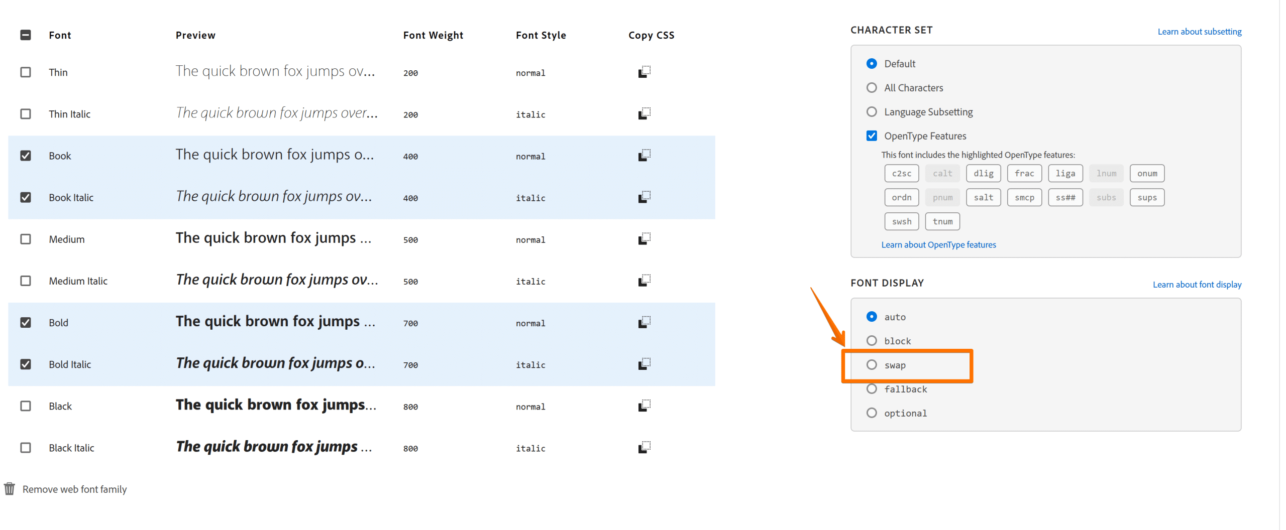 How to Ensure Text Remains Visible During Webfont Load 29