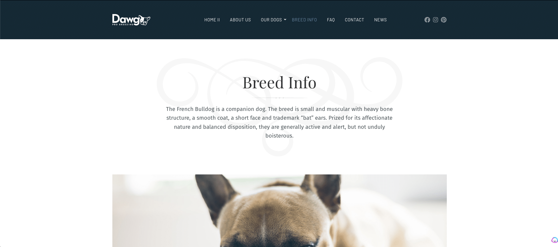 How to Create A Dog Breeding Website (Step-By-Step Guide) 26