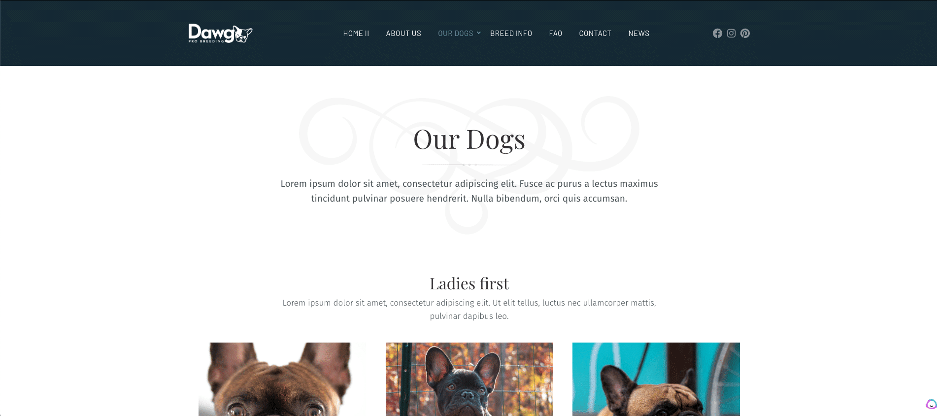 How to Create A Dog Breeding Website (Step-By-Step Guide) 27