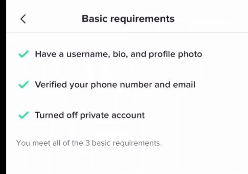 How to Get Verified on TikTok in 2024 17