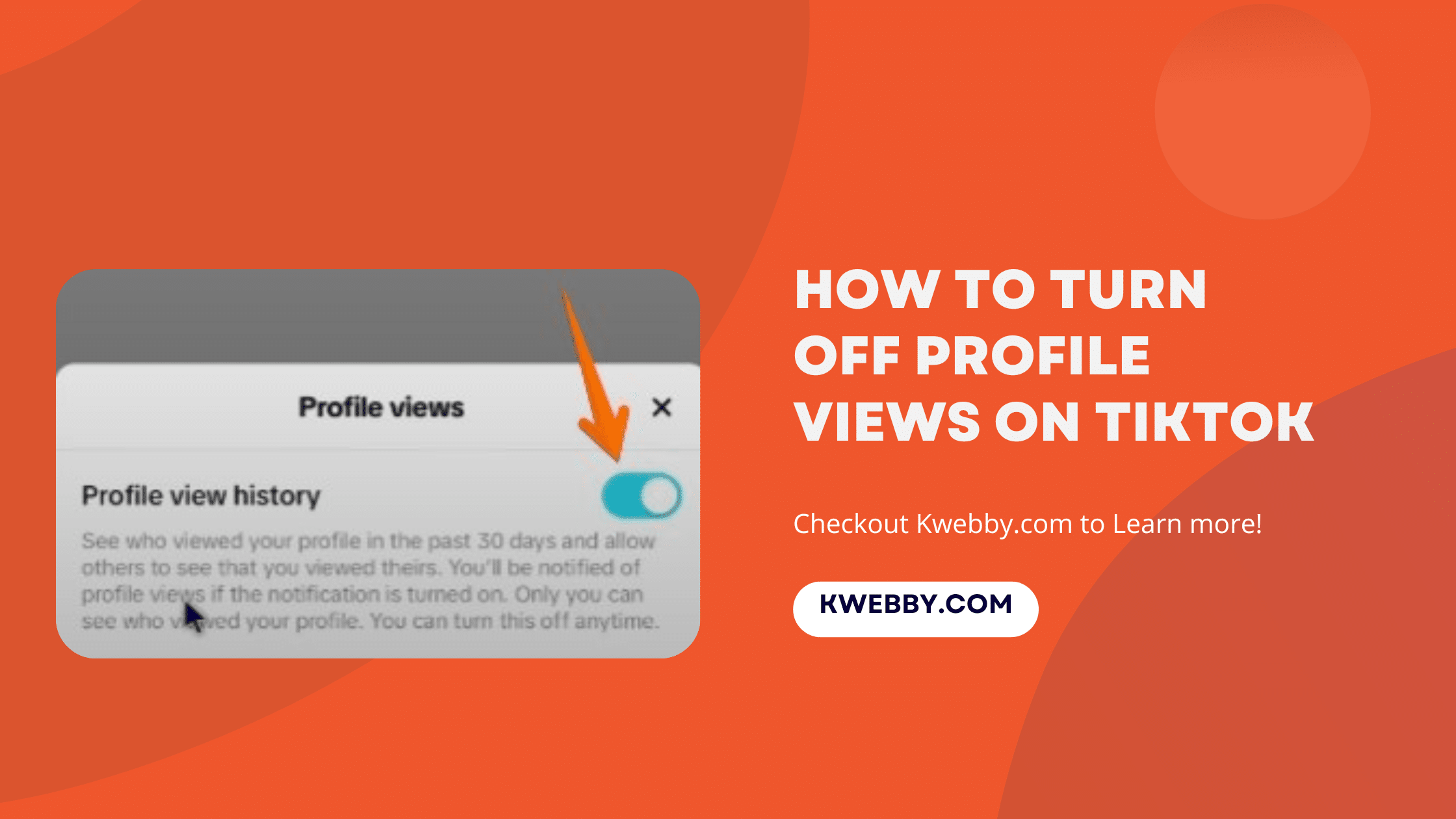 How to Turn Off Profile Views on TikTok (2 Easy Methods)