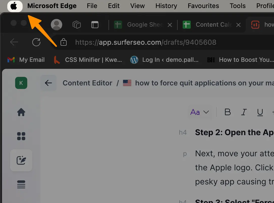 How to Force Quit Applications on your MAC (3 Methods) 11