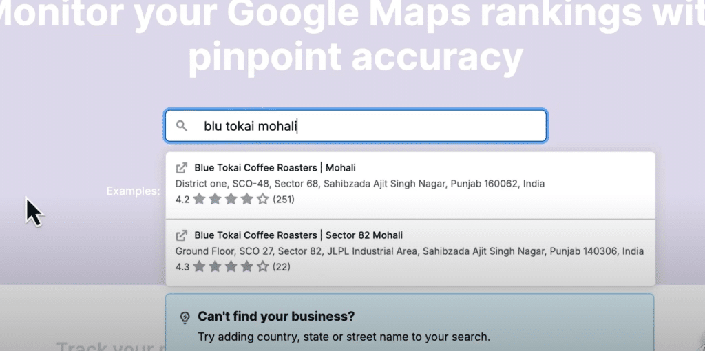 Google Maps Rank Checker: How to Check Local Rankings 14